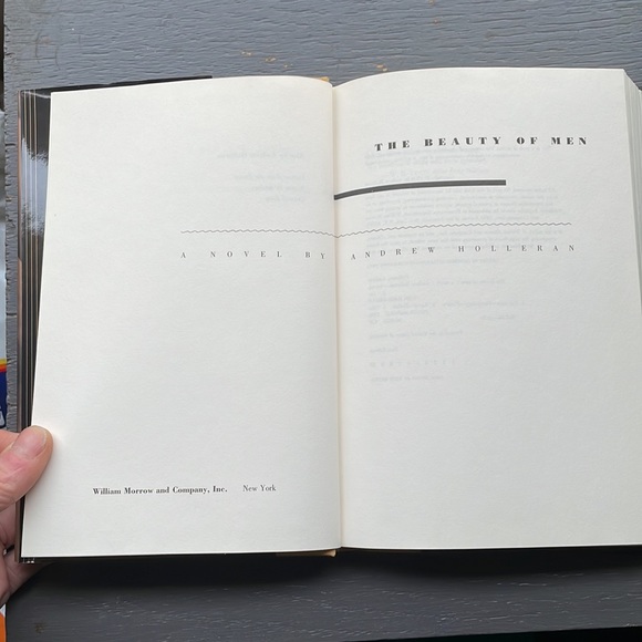 Book for sale, , Andrew Holleran, the beauty of men, gay men’s interest - Picture 4 of 5